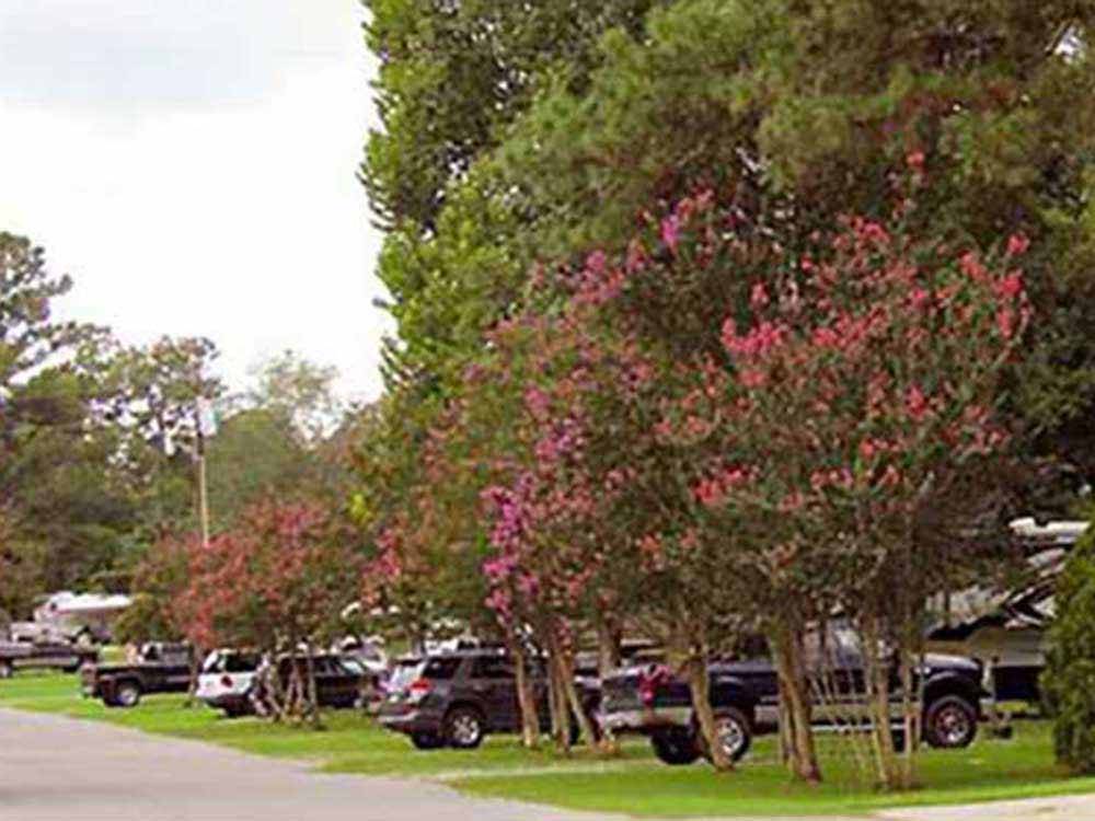 Cars and trailers parked in grassy sites at RALEIGH OAKS RV RESORT & COTTAGES