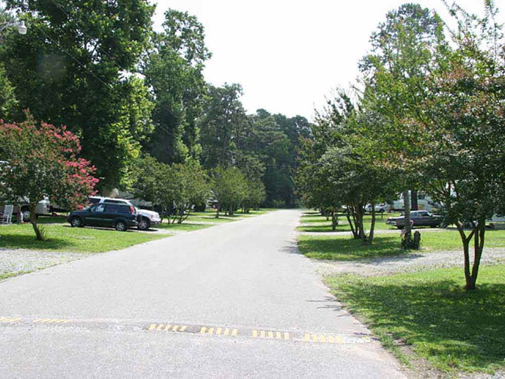 Tree lined road view at RALEIGH OAKS RV RESORT & COTTAGES