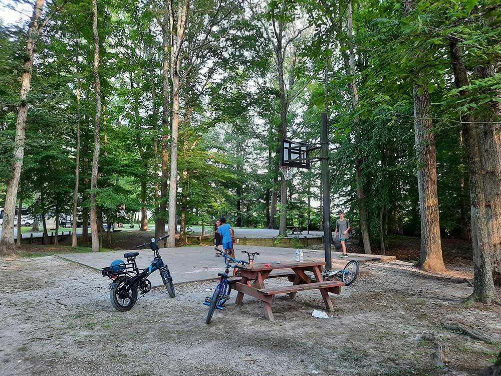 Picnic table and open area with trees at COLUMBUS WOODS-N-WATERS KAMPGROUND