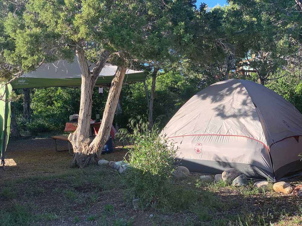 One of the tent camping sites at OASIS DURANGO RV RESORT