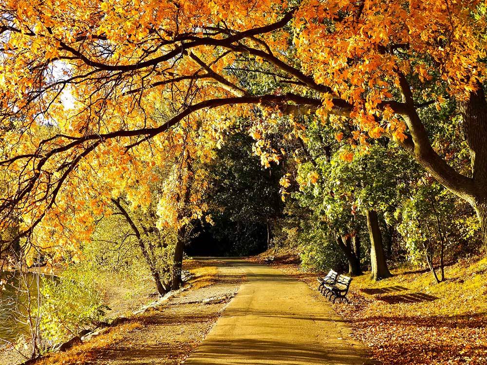 Beautiful scenic countryside road with bench at PINE LAKE RV RESORT & COTTAGES