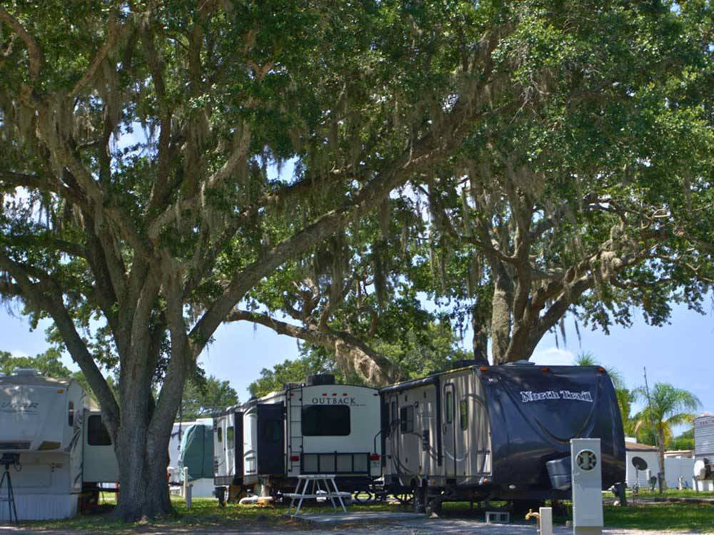 RVs parked under large trees at KISSIMMEE RV PARK