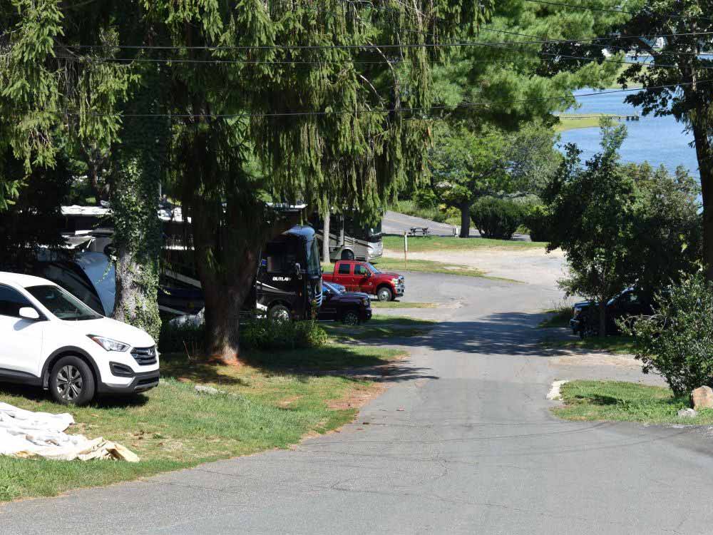 A row of tree lined RV sites at CAPE ANN CAMP SITE