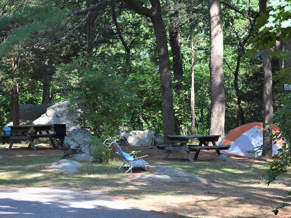 One of the tent sites at CAPE ANN CAMP SITE