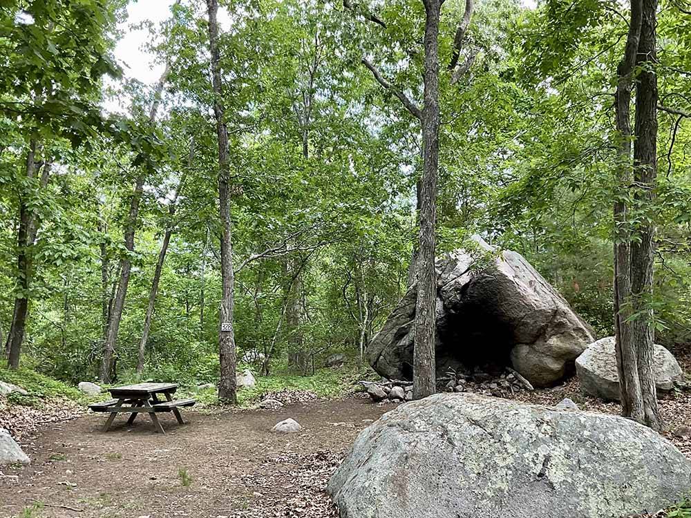 One of the tent camping sites at CAPE ANN CAMP SITE