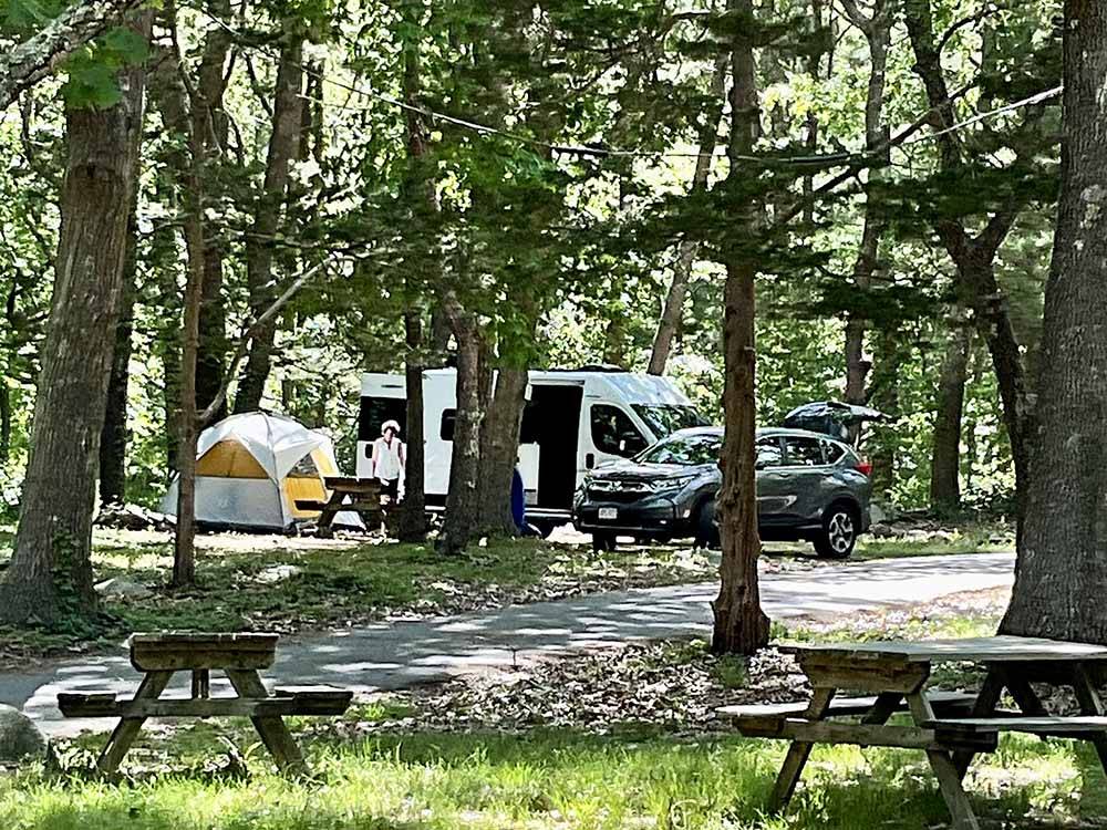 RV sites under trees at CAPE ANN CAMP SITE