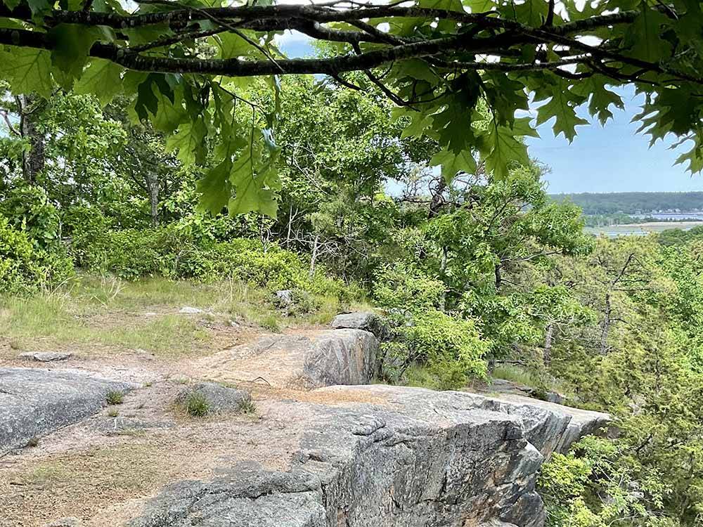 The edge of a cliff overlooking the water at CAPE ANN CAMP SITE