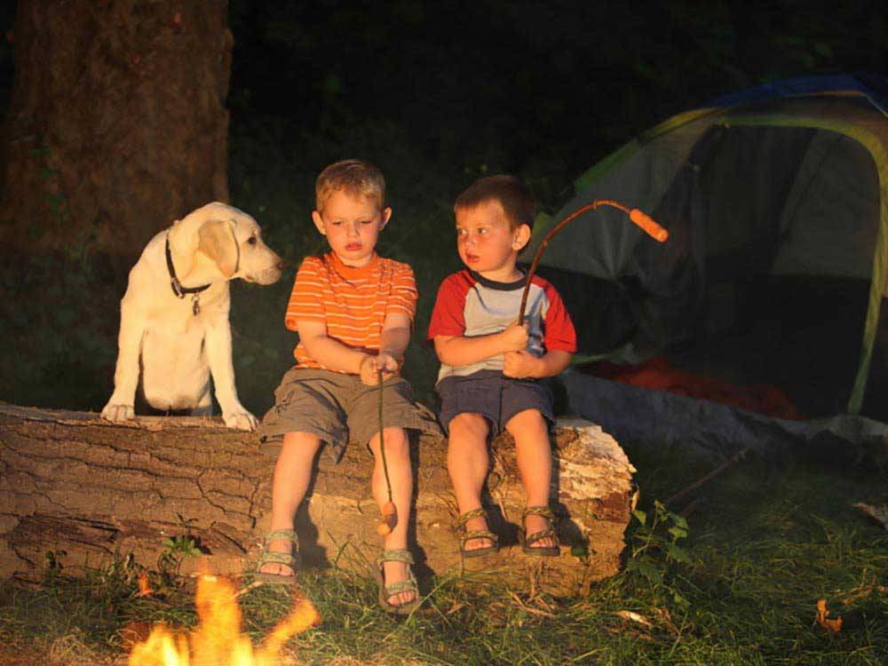 Kids with dog roasting hotdogs at CAMP A WAY RV PARK