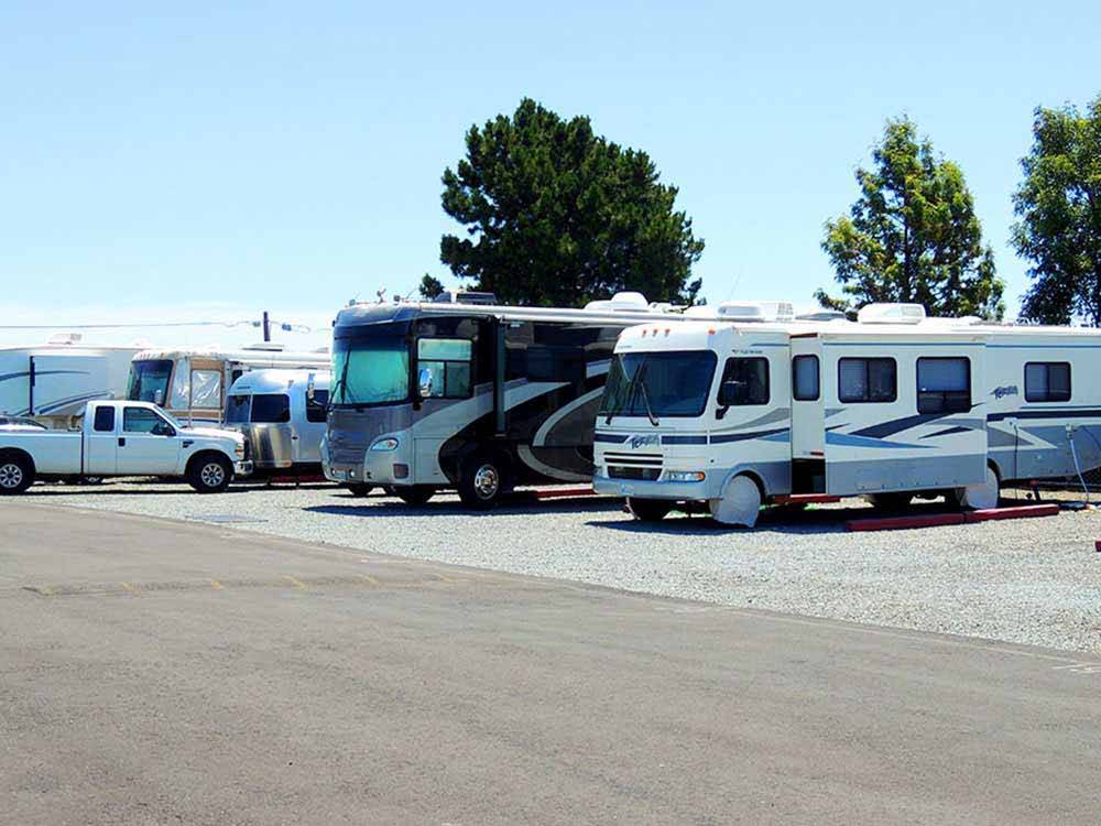 RVs and truck and trailers camping at MARIN RV PARK