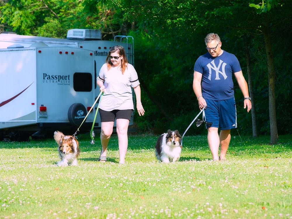 Two campers walk their dogs at GETTYSBURG CAMPGROUND