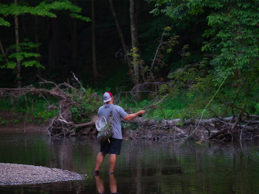 Angler casts his line in serene pond at GETTYSBURG CAMPGROUND