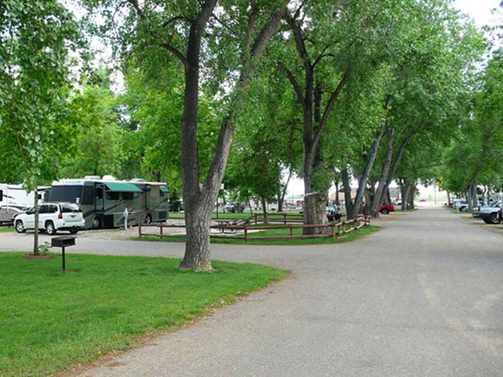 RVs parked at campground at LOVELAND RV RESORT