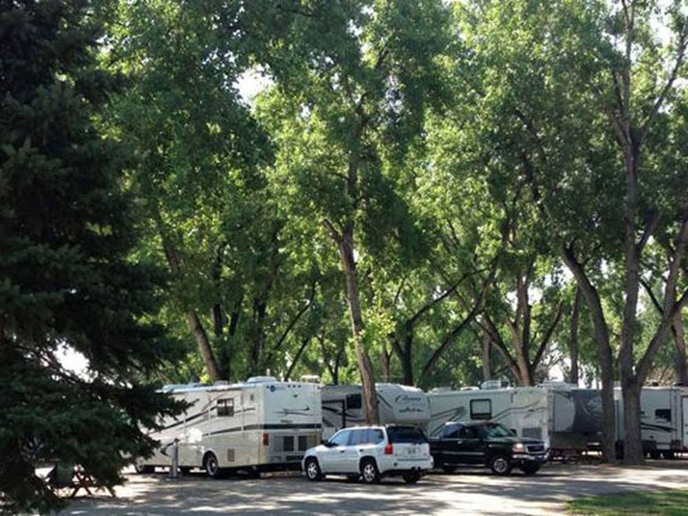 White SUV and black truck parked near RVs and trailers camping at LOVELAND RV RESORT