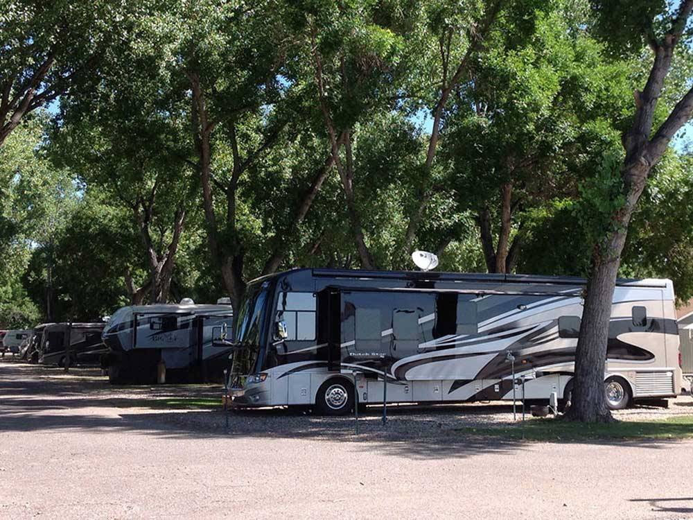 RVs and truck and trailers camping at LOVELAND RV RESORT