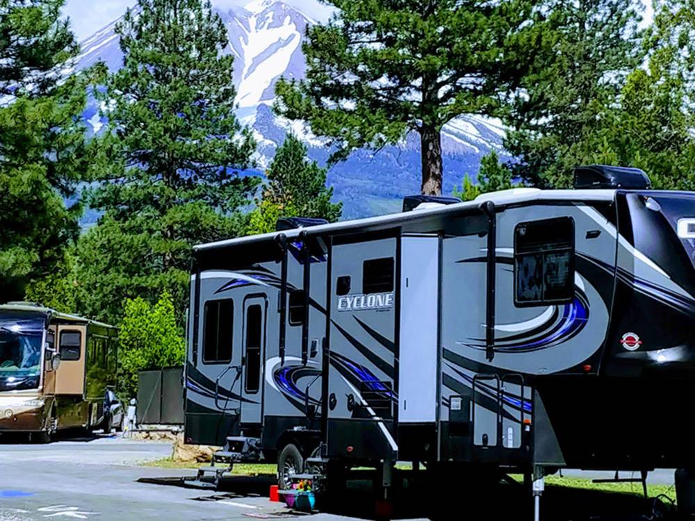 Fifth-wheel on paved site near fir trees at FRIENDLY RV PARK