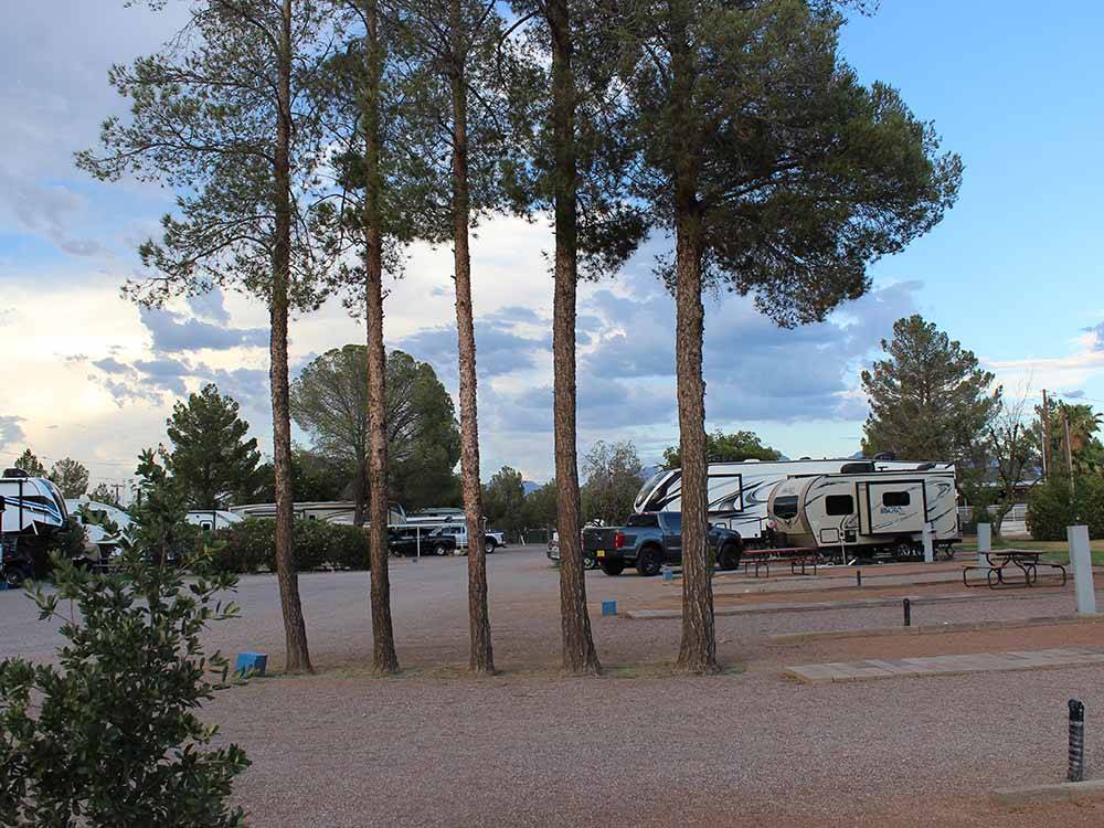 Travel trailers parked in back in sites at SUNNY ACRES RV PARK