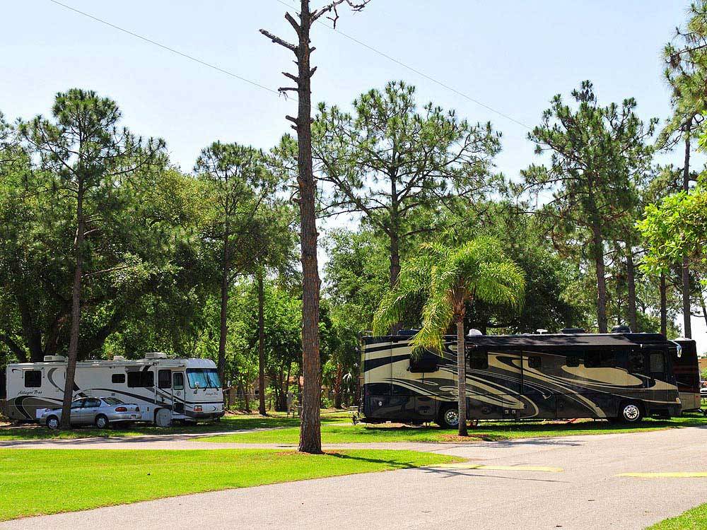RVs parked at campground at WINTER GARDEN