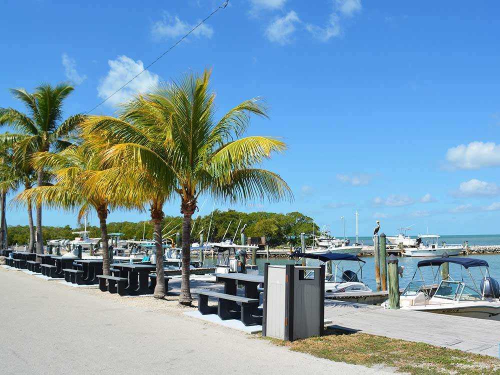 Picnic tables in harbor with ocean view at ENCORE FIESTA KEY