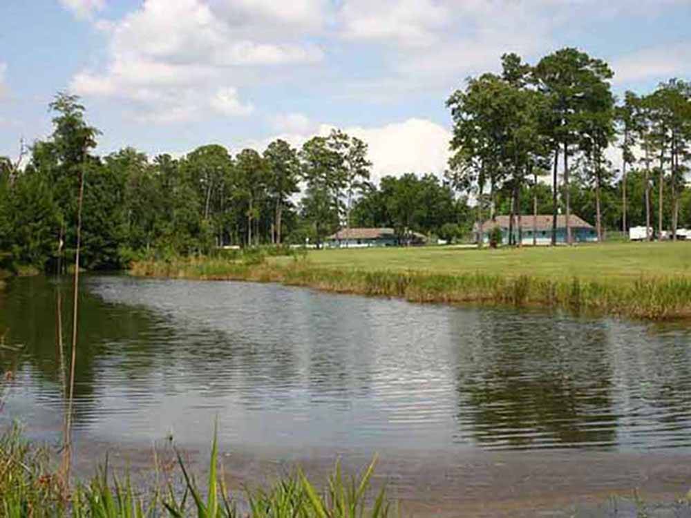 A green area by the water at CECIL BAY RV PARK