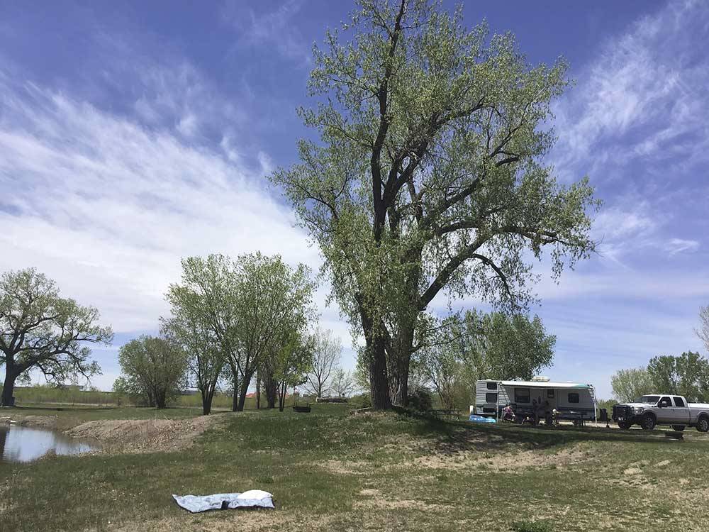 A large tree next to an RV site at I-80 LAKESIDE CAMPGROUND