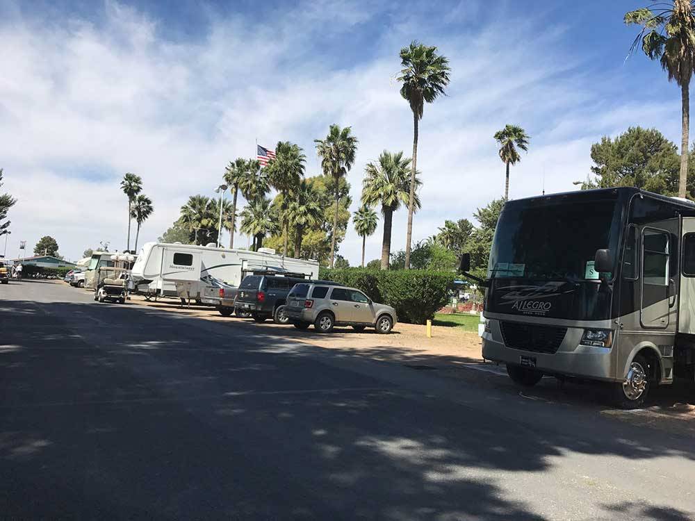 RVs backed in at THE RV PARK AT THE PIMA COUNTY FAIRGROUNDS