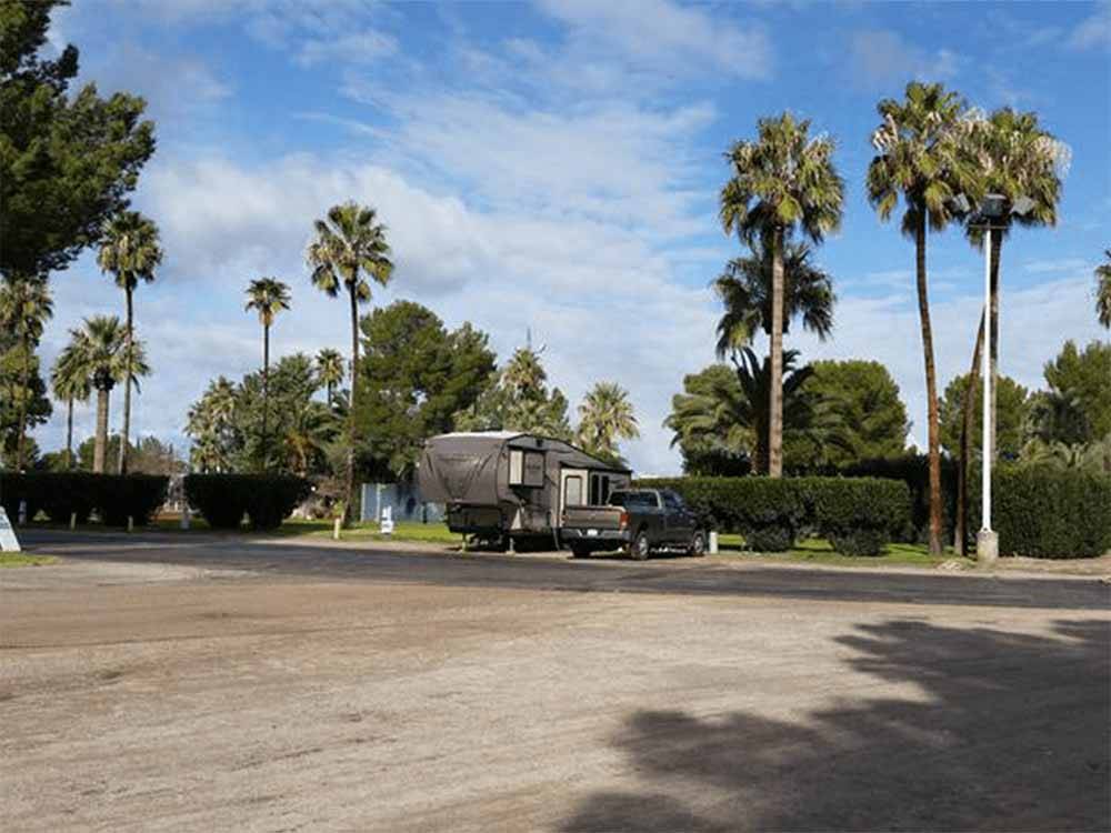 View of Fifth Wheel in campsite under palm trees at THE RV PARK AT THE PIMA COUNTY FAIRGROUNDS