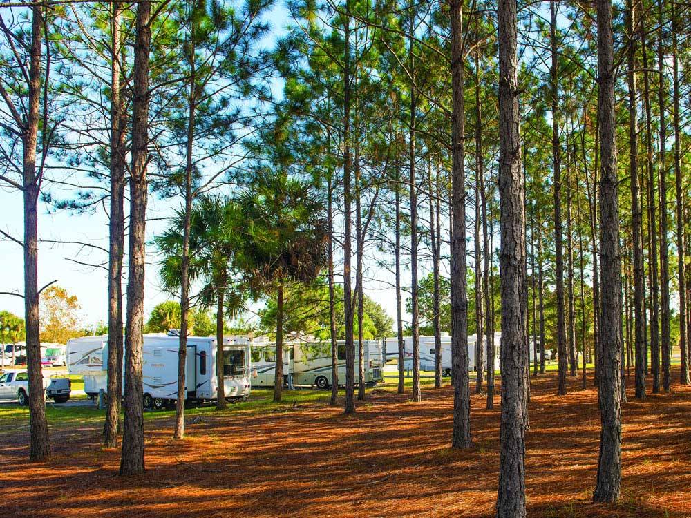 Trailers and RVs camping at THOUSAND TRAILS ORLANDO