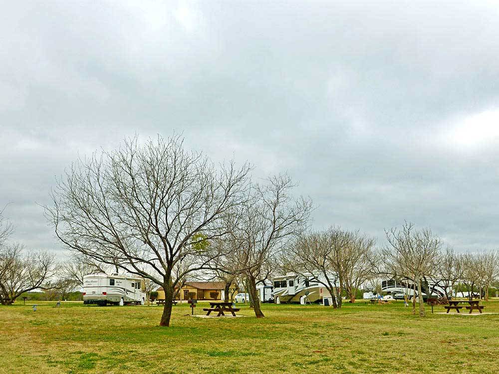 RVs and trailers at campground at THOUSAND TRAILS BAY LANDING