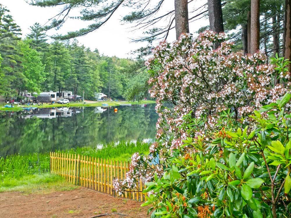Trailers camping along the lake at THOUSAND TRAILS STURBRIDGE