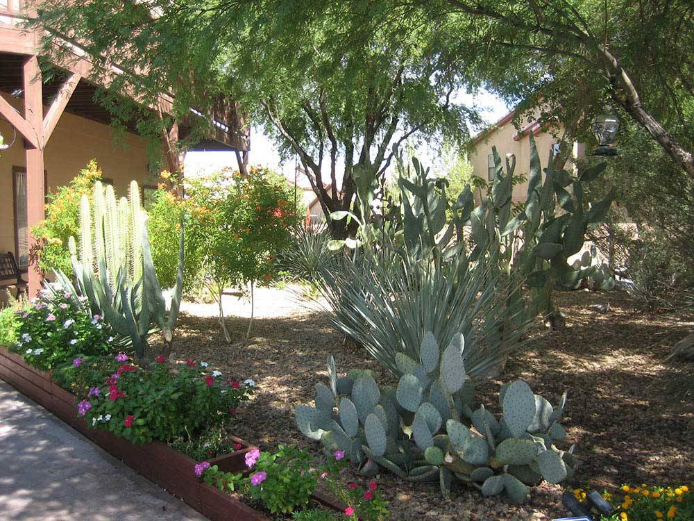 Flowers outside office at DUCK CREEK RV PARK