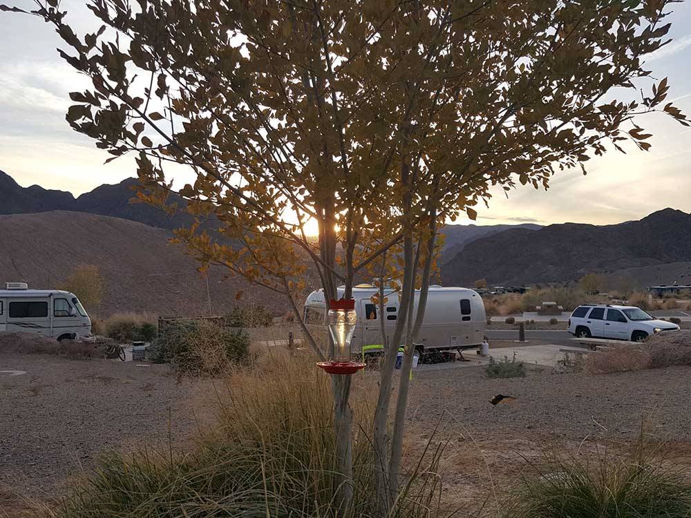 RV campsites at dusk at WILLOW BEACH MARINA & CAMPGROUND