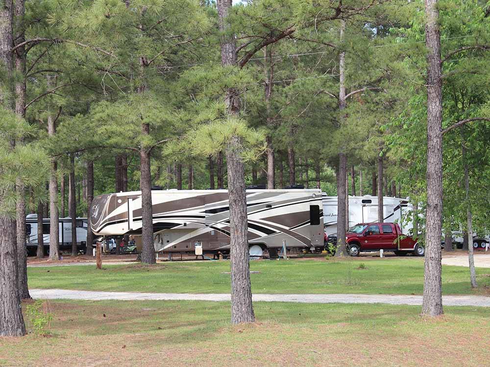 A group of RV sites under trees at BEAVER RUN RV PARK