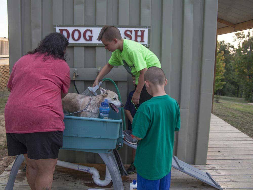 A family washing their dog in the dog wash area at SCENIC MOUNTAIN RV PARK & CAMPGROUND