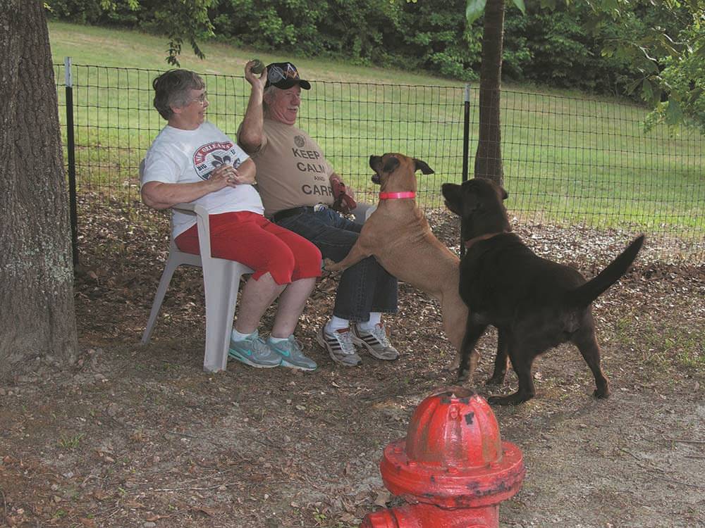 An elderly couple playing with dogs at SCENIC MOUNTAIN RV PARK & CAMPGROUND