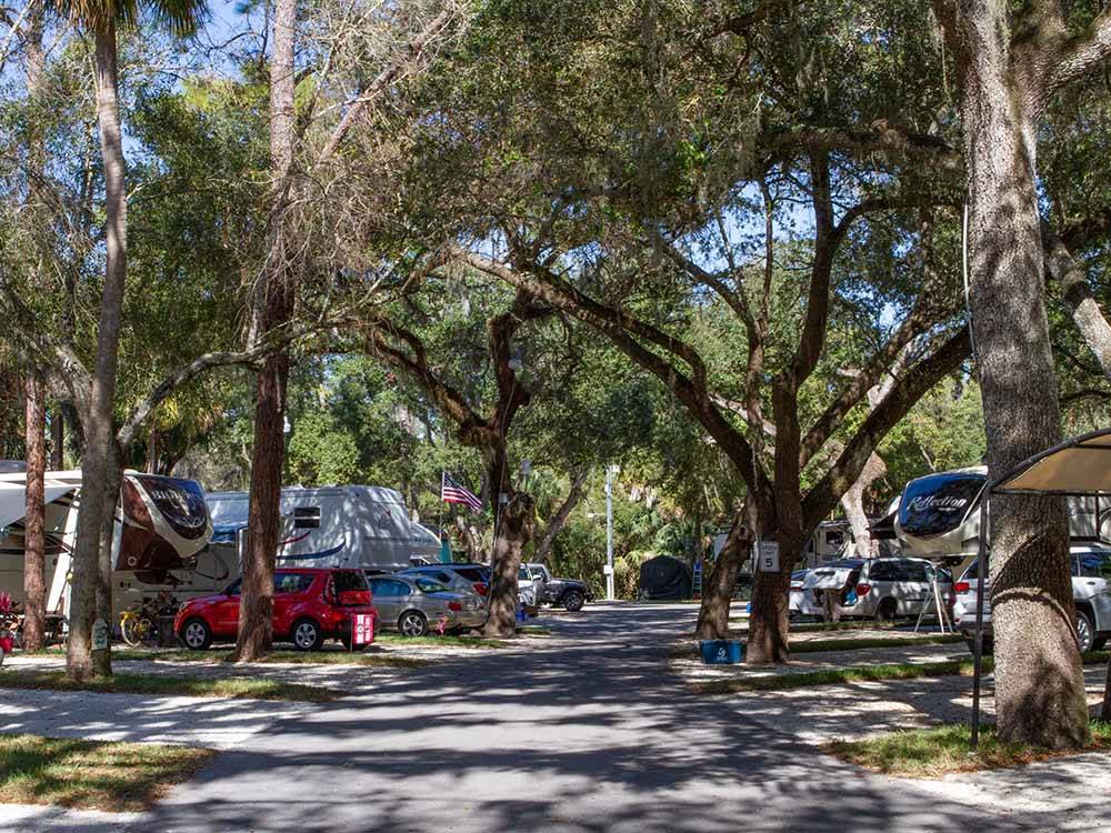 A shady paved road with campsites at SEMINOLE CAMPGROUND