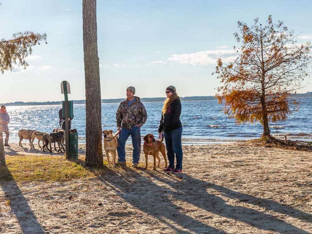 People taking their dogs for a walk on beach at NORTH LANDING BEACH RV RESORT & COTTAGES