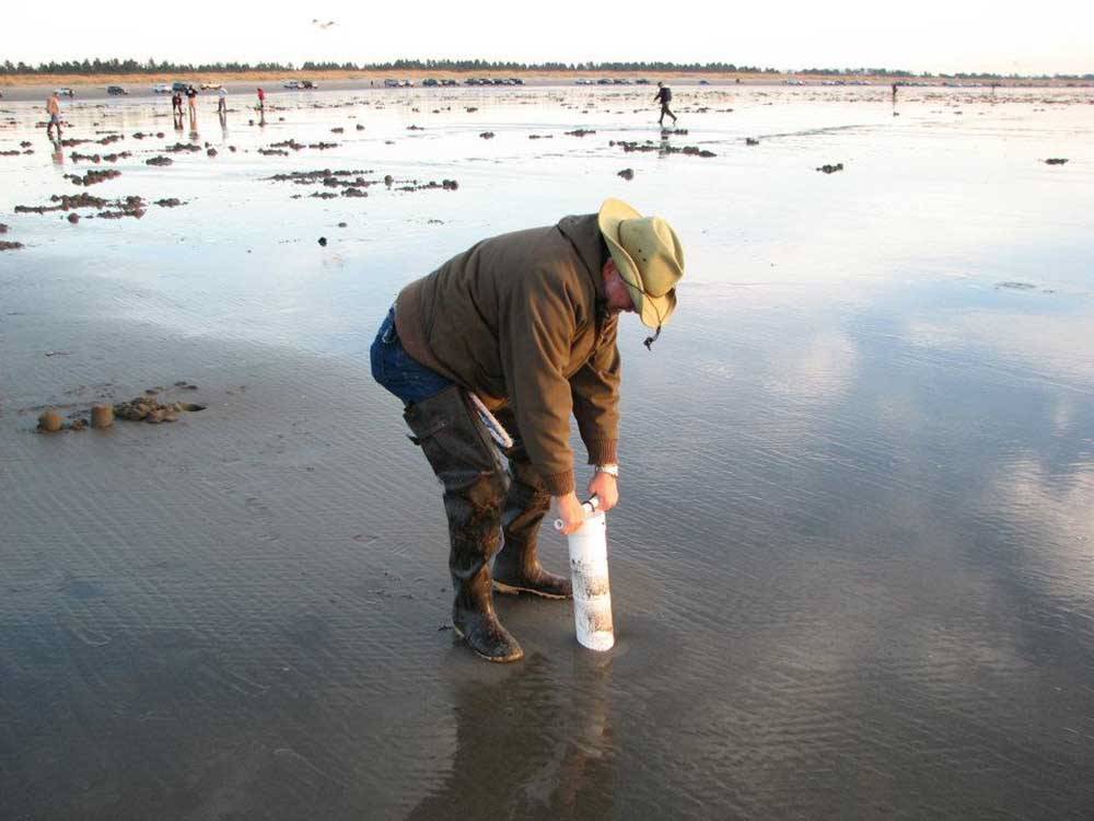 A man digging for clams at OCEAN PARK RESORT