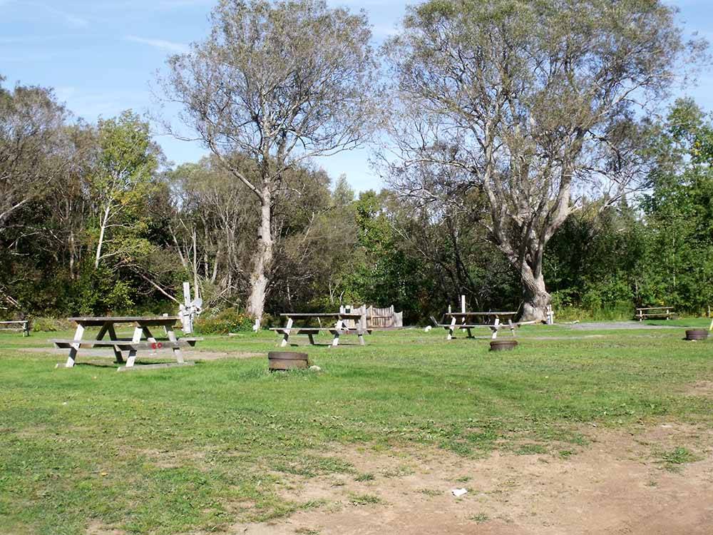 A row of picnic tables by RV sites at HARBOUR LIGHT TRAILER COURT & CAMPGROUND