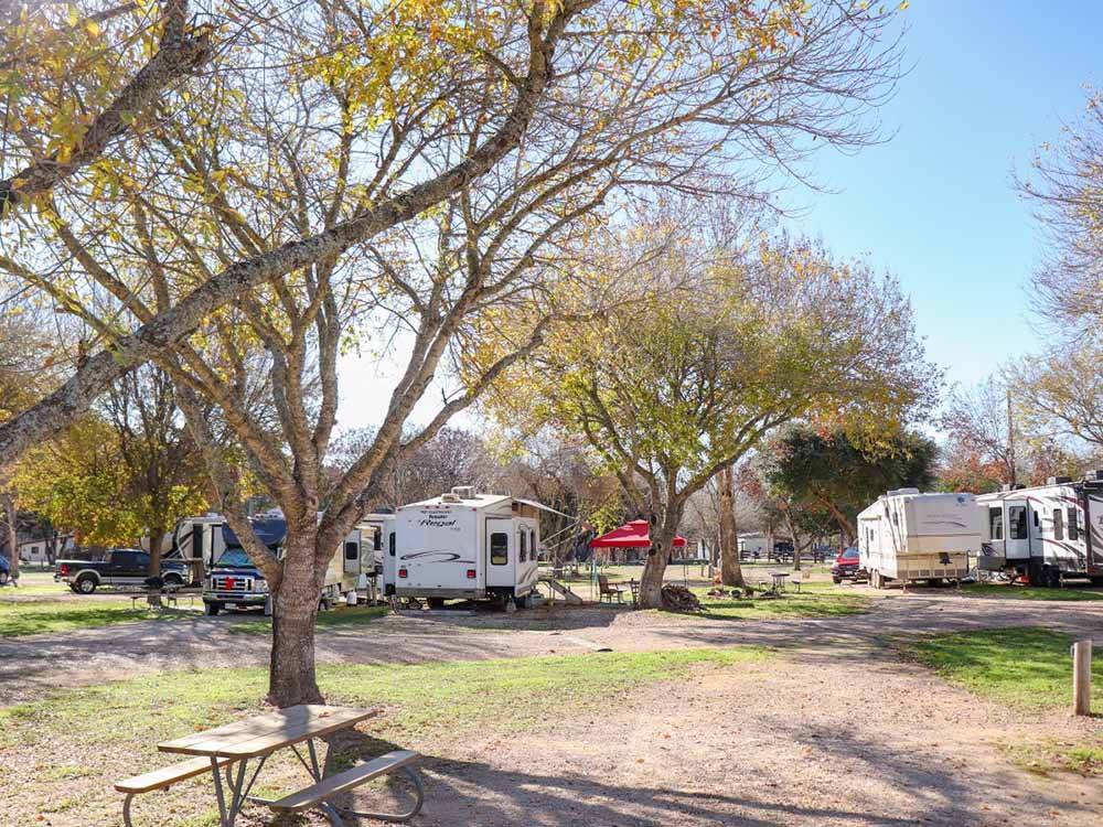 A group of campsites at RIO GUADALUPE RESORT