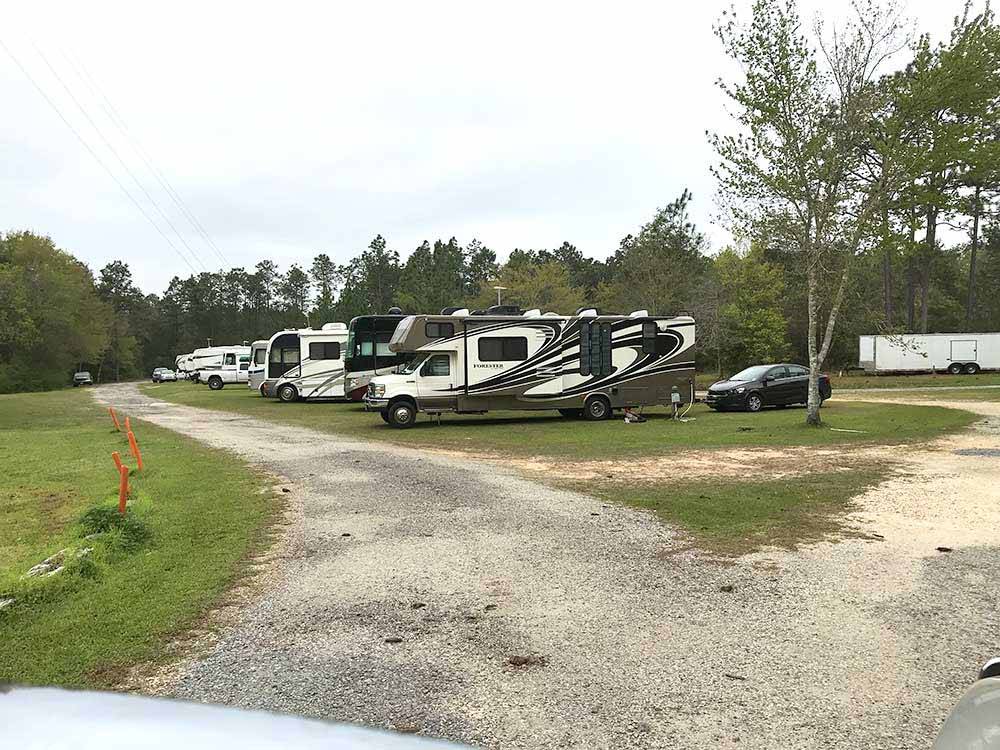 RVs parked at campground at WILDERNESS RV PARK