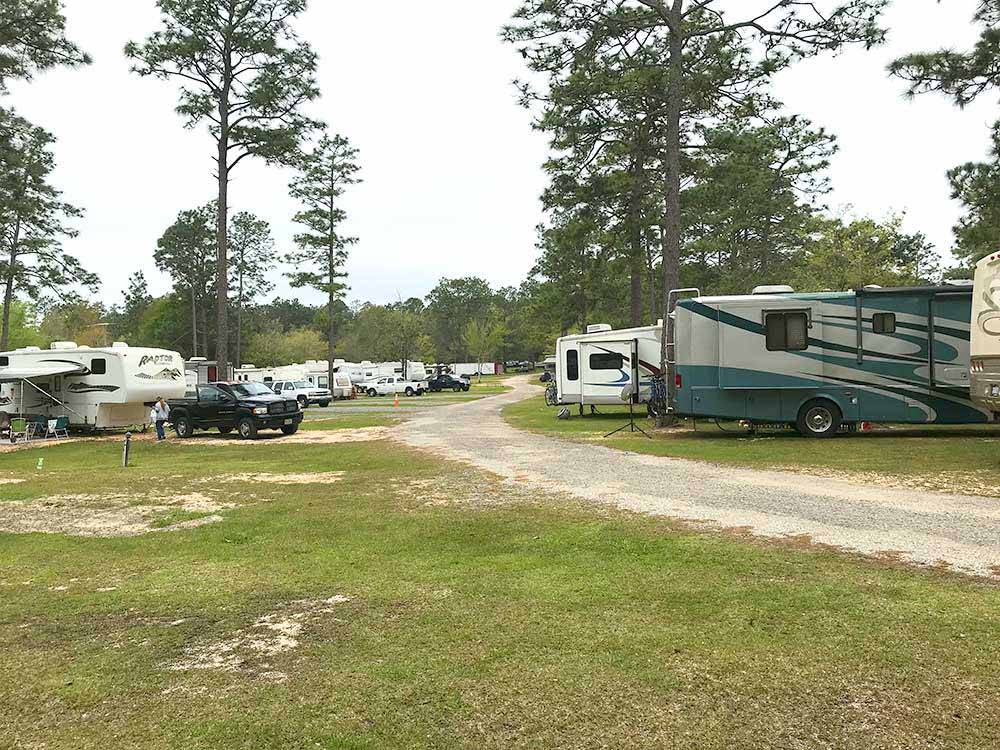 RVs and trailers at campground at WILDERNESS RV PARK
