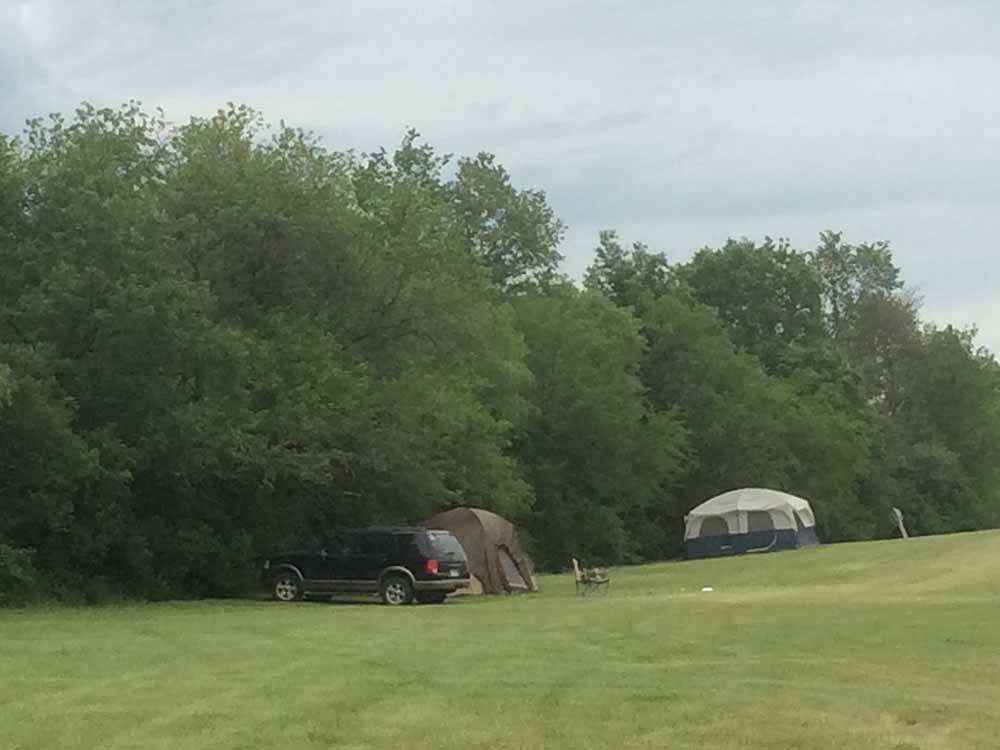 Tents in a grassy area at GLENWOOD RV RESORT