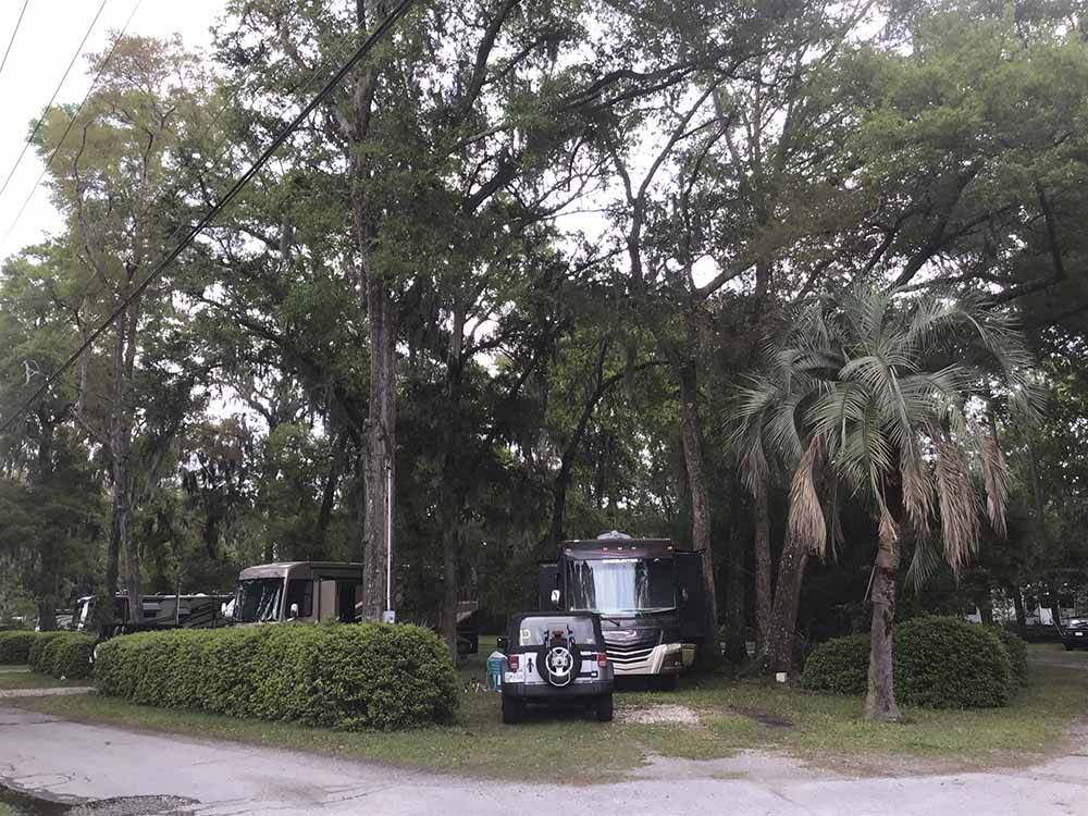 A motorhome parked under trees at BILTMORE RV PARK