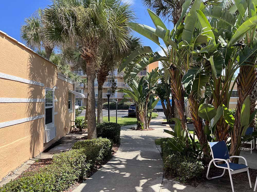 Palm trees and shaded area at CORAL SANDS OCEANFRONT RV RESORT