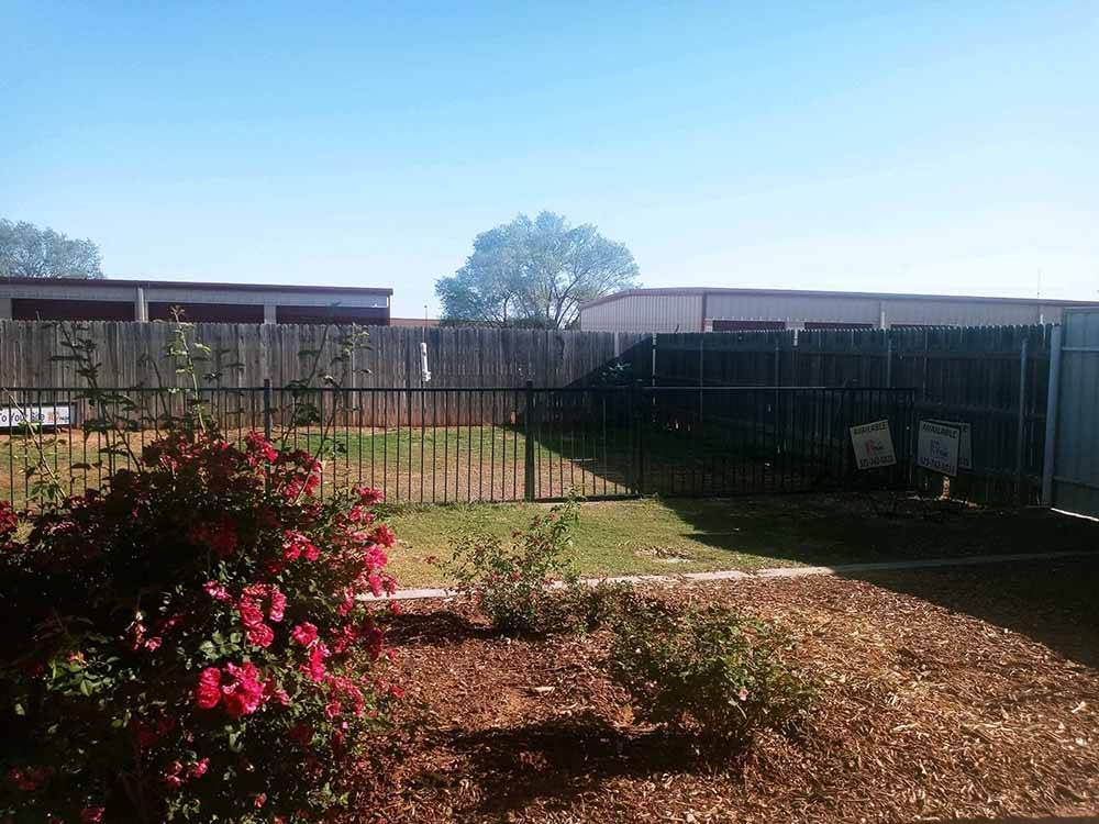 Grassy area bordered by fence with plants in foreground at CLOVIS RV PARK