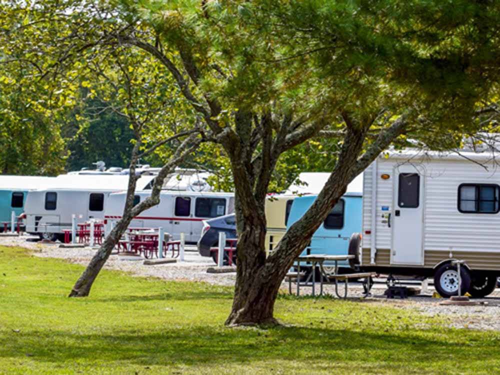 A row of trailers parked in gravel sites at BLOWING SPRINGS RV PARK