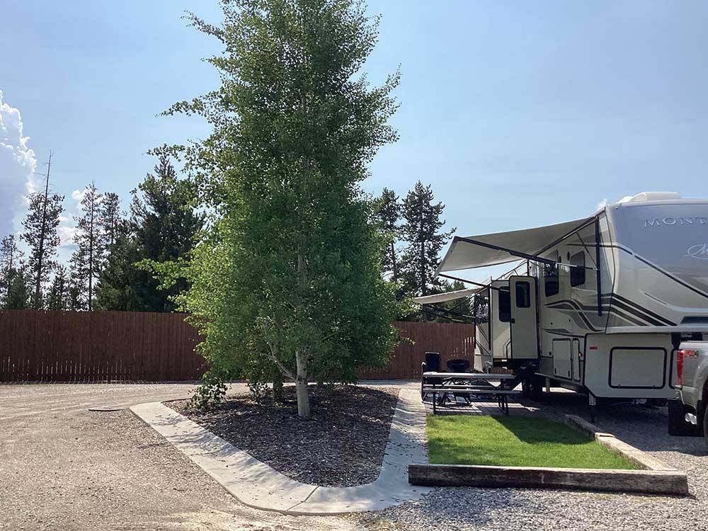 Fifth-wheel parked on site with table, greenbelt and tree at BUFFALO CROSSING RV PARK