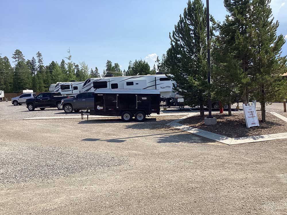 RVs parked in gravel sites near fir trees at BUFFALO CROSSING RV PARK