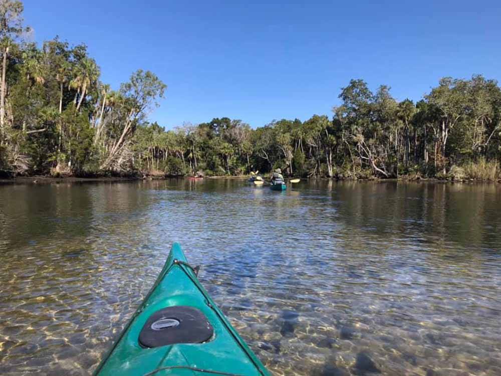 A group of kayaks on the river at CHASSAHOWITZKA RIVER CAMPGROUND