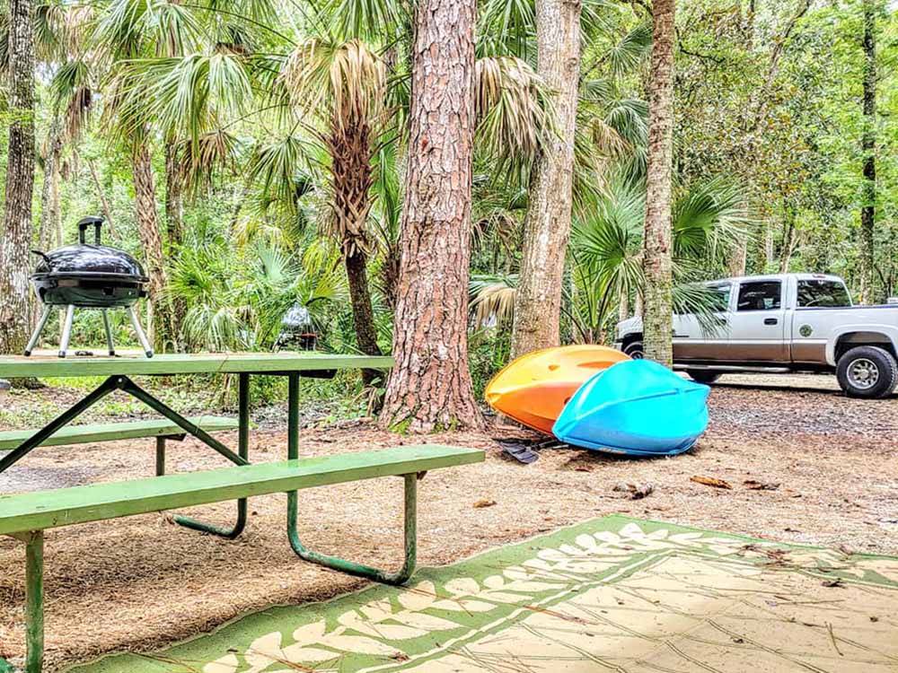 Kayaks leaning on a tree at one of the campsites at CHASSAHOWITZKA RIVER CAMPGROUND